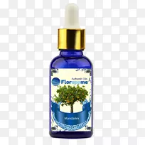 ����㾫������-��Ƥ����-������