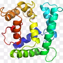 剪贴画有机体线体首饰.钙氯原子图-空若网 剪贴画有机体线体首饰.钙氯原子图-空若网