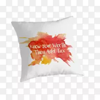 税iphone案例支付文本枕头-明白你的价值-空若网 税iphone案例支付文本枕头-明白你的价值-空若网