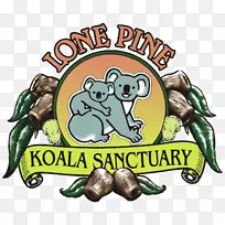 独居松树保护区布里斯班河鸭嘴兽保护区考拉保护区-空若网 独居松树保护区布里斯班河鸭嘴兽保护区考拉保护区-空若网