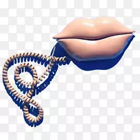 产品设计钴蓝下巴闪光保龄球鞋-空若网 产品设计钴蓝下巴闪光保龄球鞋-空若网