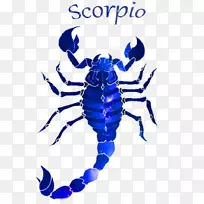 剪贴画蝎子虫电蓝色图案.天蝎座排版-空若网 剪贴画蝎子虫电蓝色图案.天蝎座排版-空若网