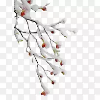 png图片剪贴画gif图像分支.冬季分支-空若网 png图片剪贴画gif图像分支.冬季分支-空若网