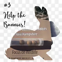 2017��16���º�������������ֽ���尮��Ұ�ö���-������