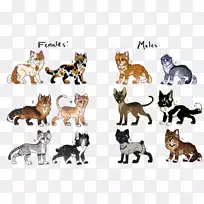 ҰèȮ�ֶ���-��ʱ���-������