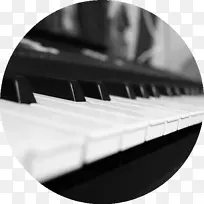 数字钢琴音乐键盘-巨无霸蟹饼-空若网 数字钢琴音乐键盘-巨无霸蟹饼-空若网