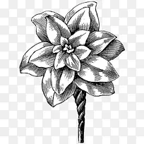 ������Ƽ������赥ɫ��ť��ľ-������