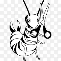 剪贴画昆虫画/m/02csf-耳假发昆虫-空若网 剪贴画昆虫画/m/02csf-耳假发昆虫-空若网