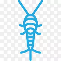 昆虫银鱼害虫控制可伸缩图形白蜘蛛它们有毒吗?-空若网 昆虫银鱼害虫控制可伸缩图形白蜘蛛它们有毒吗?-空若网