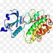 剪贴画有机体线产品首饰.钙氯原子图-空若网 剪贴画有机体线产品首饰.钙氯原子图-空若网