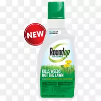 草坪综述RTU魔杖和北方除草剂家庭清洁供应草甘膦产品蒲公英三叶草防治-空若网 草坪综述RTU魔杖和北方除草剂家庭清洁供应草甘膦产品蒲公英三叶草防治-空若网