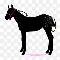 达利博兹马术阿拉伯赛马安全带.海兔繁殖-空若网 达利博兹马术阿拉伯赛马安全带.海兔繁殖-空若网