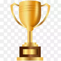 金杯奖-空若网 金杯奖-空若网