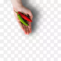 辣椒胡椒粉钉家族香料包装盒-空若网 辣椒胡椒粉钉家族香料包装盒-空若网