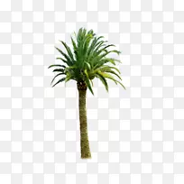 ������ͼƬ�����Ҭ�ӳ��о��۱���WordPress-������