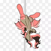 ��������ָ��������-������