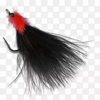 羽翼蝇-空若网 羽翼蝇-空若网