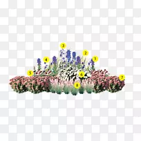 斯洛伐克多年生植物,花园植物záhradnábriektúra-Kalendar 2018斯洛伐克-空若网 斯洛伐克多年生植物,花园植物záhradnábriektúra-Kalendar 2018斯洛伐克-空若网