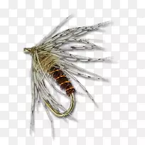 昆虫人工蝇-软钩蝇-空若网 昆虫人工蝇-软钩蝇-空若网