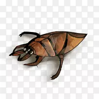 昆虫巨型水虫绘制图.水甲虫-空若网 昆虫巨型水虫绘制图.水甲虫-空若网