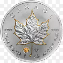 ���ô�����Ҷ��������������-������