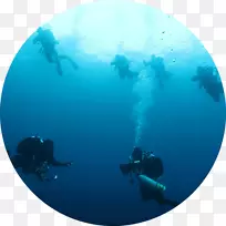 Ǳˮ��ˮ��Ǳˮ�����г���Ǳˮָ��ԱרҵЭ��-�����ĸ�Ǳ-������