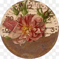 ֲ��ѧ��ͼֲ��ˮ�ʻ�ͼ��-DIY�ֵ���Ů���-������