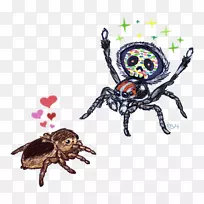 昆虫翅膀十足类卡通蜘蛛-空若网 昆虫翅膀十足类卡通蜘蛛-空若网