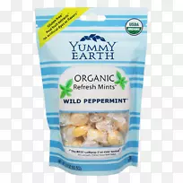 ��ʤ���л�Ӳ��Ұ�������л�ʳƷ��ζ��Ұ���ɵμ�(6x3.3��˾)-Ĭ�ϱ������-��ζ��������-������