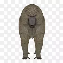 ����ëƤ½���������-�������-������