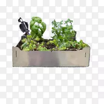 ��ש̨�����ϻ��貣��-������