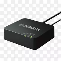 无线网络接口控制器Yamaha ywa-10 wi-fi网卡和适配器计算机网络雅马哈接收器-空若网 无线网络接口控制器Yamaha ywa-10 wi-fi网卡和适配器计算机网络雅马哈接收器-空若网