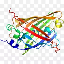 ���������л����Ʒӫ��ˮĸ����-������