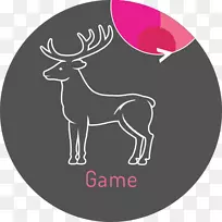 驯鹿,家禽,鹿,av,hayvan,?火鸡-野猪肉-空若网 驯鹿,家禽,鹿,av,hayvan,?火鸡-野猪肉-空若网