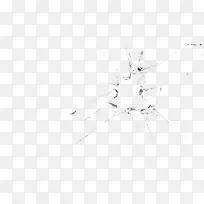 素描昆虫对称图案线艺术.可打印的牛奶玻璃-空若网 素描昆虫对称图案线艺术.可打印的牛奶玻璃-空若网