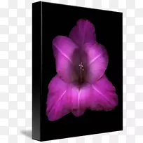 图片剪辑艺术摄影艺术馆-奥斯卡古铁雷斯-空若网 图片剪辑艺术摄影艺术馆-奥斯卡古铁雷斯-空若网