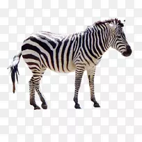 �����������������-��-������