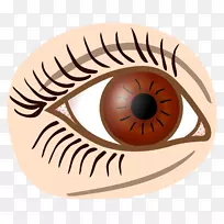 �۽�ë��ɫ������-������