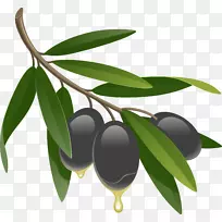 éÏéÓÍÒºÌ尻˾.ºÚéÏéPNG-¿ÕÈôÍø éÏéÓÍÒºÌ尻˾.ºÚéÏéPNG-¿ÕÈôÍø