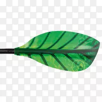 划皮艇叶绿素白水不对称.划艇逻辑皮艇车-空若网 划皮艇叶绿素白水不对称.划艇逻辑皮艇车-空若网