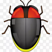 甲虫剪贴画产品设计.萤火虫-空若网 甲虫剪贴画产品设计.萤火虫-空若网