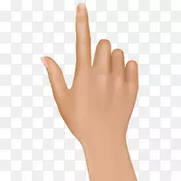 ʳָ�ּ�����.��ָ-������