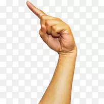 ��Ӱ�ֱ�����-��ָ-������