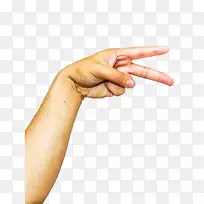 �ֱ���ָ-������