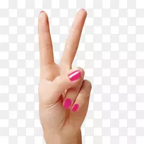 ʳָ�ּ�����.��ָ-������