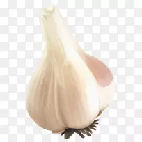 大蒜比索食品蔬菜-大蒜PNG-空若网 大蒜比索食品蔬菜-大蒜PNG-空若网