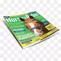 马术鼻子杂志-畅销书杂志-空若网 马术鼻子杂志-畅销书杂志-空若网