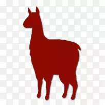 美洲驼羊驼场马羊驼场-空若网 美洲驼羊驼场马羊驼场-空若网