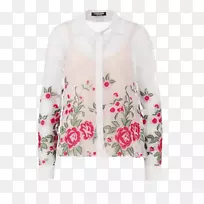 ��ë��t������ʱ��ӫ���׻�ɫ����-������