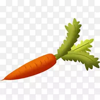 胡萝卜蔬菜-胡萝卜PNG图像-空若网 胡萝卜蔬菜-胡萝卜PNG图像-空若网